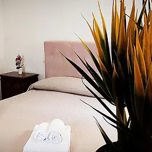 https://sieve-flower.it-tuscanyhotel.com
